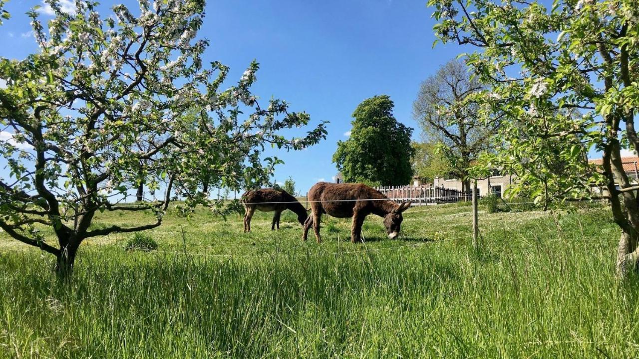 Auberge Casa Sana Pillac Eksteriør bilde